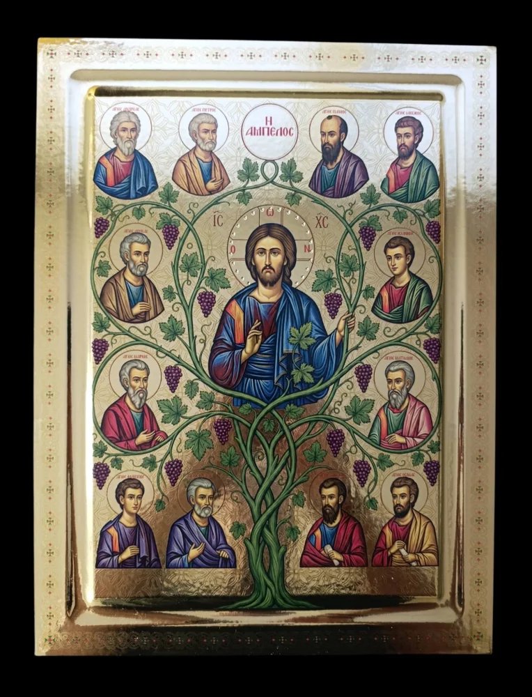 Η ΑΜΠΕΛΟΣ